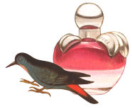 香水瓶と鳥