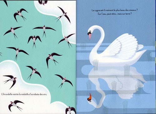 beaux oiseaux8-700