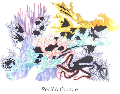 faune&flore8-7