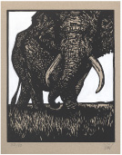セバスチャン G.オルシーニ　Elephant(ゾウ)